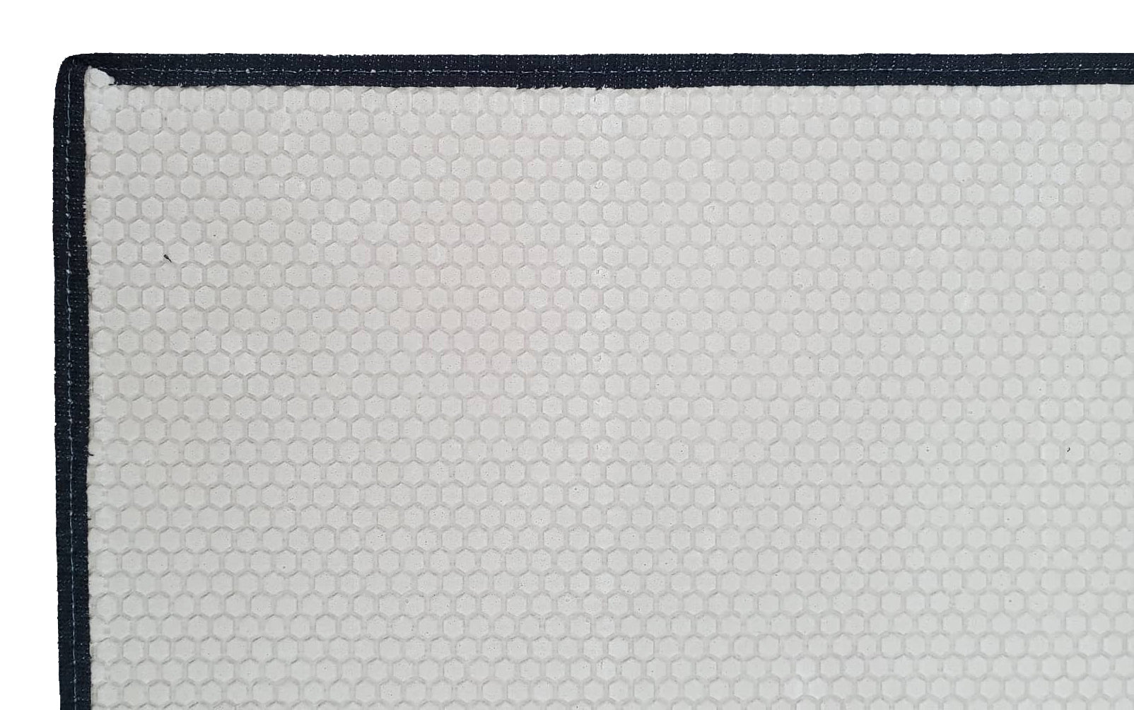 Dalmatian Indoor or Outdoor Mat 24x36 - the-store.com