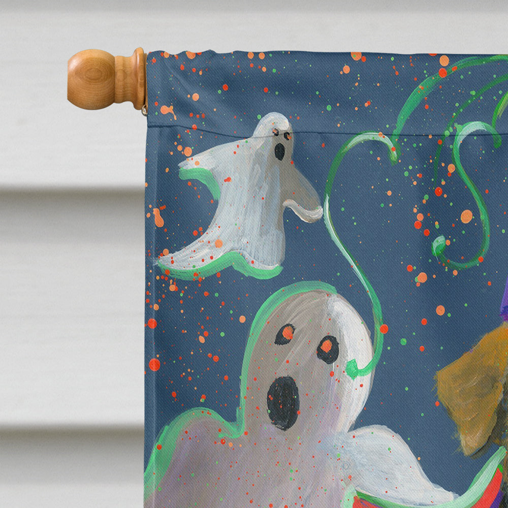 Airedale Boo Hoo Halloween Flag Canvas House Size PPP3002CHF  the-store.com.