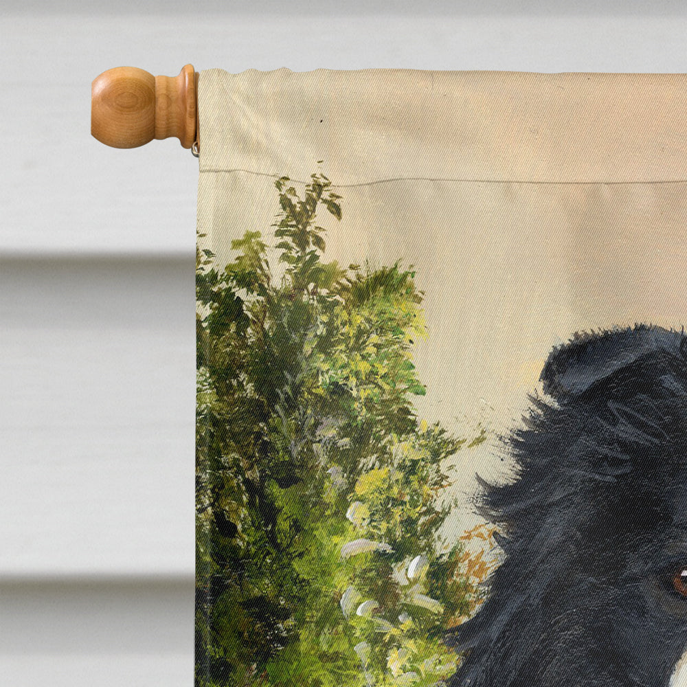 Border Collie Simplicity Flag Canvas House Size PPP3031CHF  the-store.com.