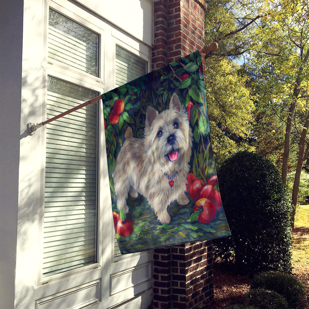 Norwich Terrier Apple Grove Flag Canvas House Size PPP3116CHF  the-store.com.