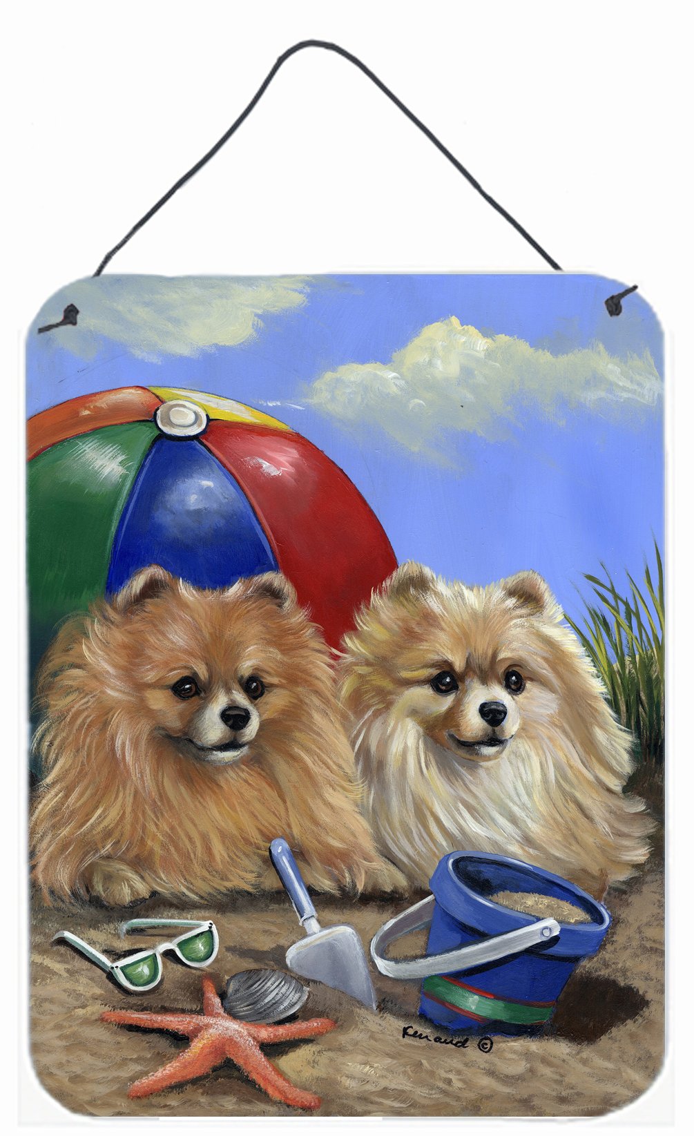 Buy this Pomeranian Beach Wall or Door Hanging Prints PPP3145DS1216