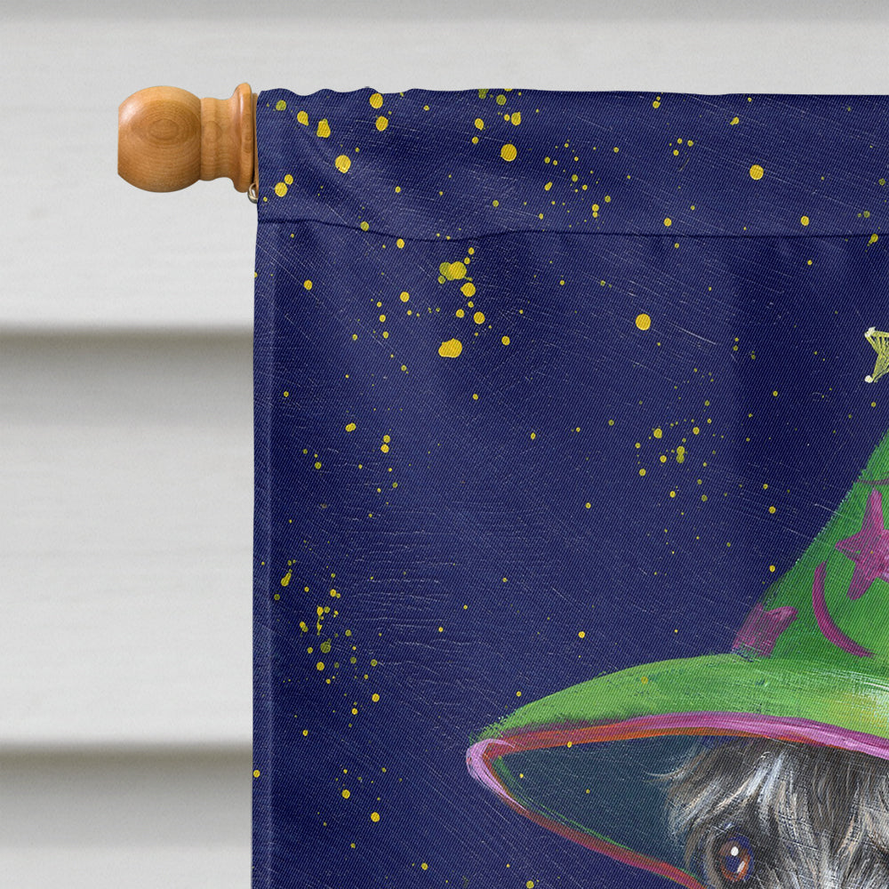 Schnauzer Halloween Good Witch Flag Canvas House Size PPP3159CHF  the-store.com.