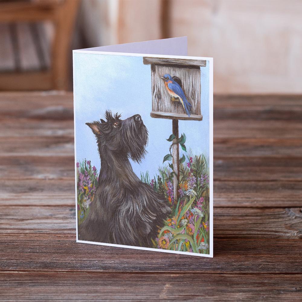 Buy this Scottie Curious Greeting Cards and Envelopes Pack of 8