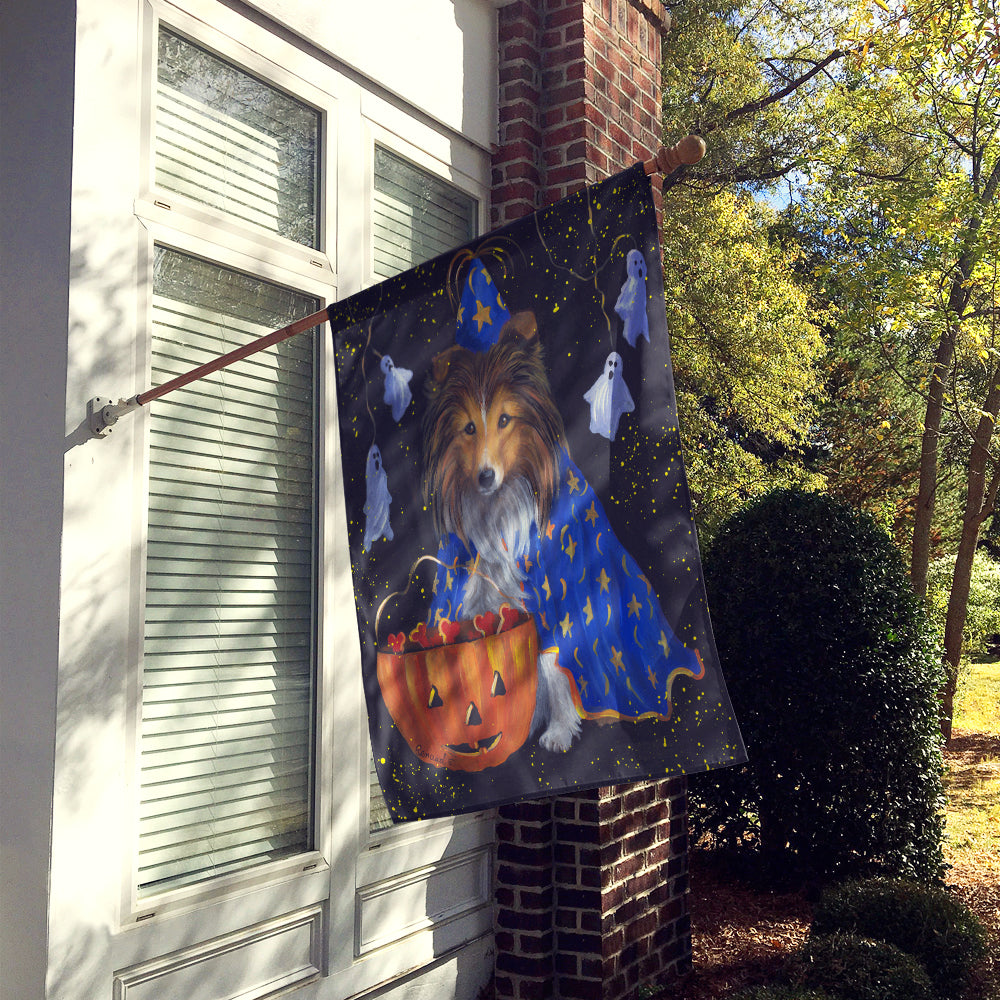 Sheltie Halloween Witch Flag Canvas House Size PPP3186CHF  the-store.com.