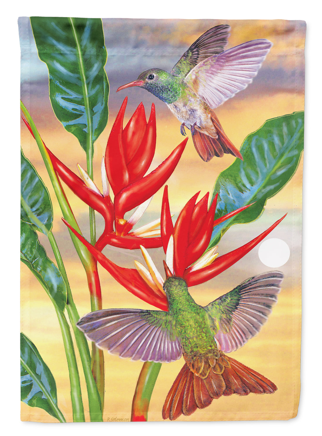 Buff Bellied Hummingbird Flag Canvas House Size PRS4019CHF  the-store.com.