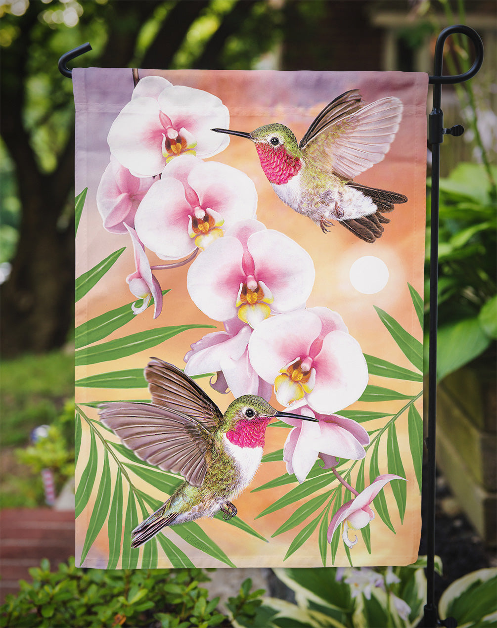 Anna's Hummingbirds Phalaenopsis Flag Garden Size PRS4023GF  the-store.com.