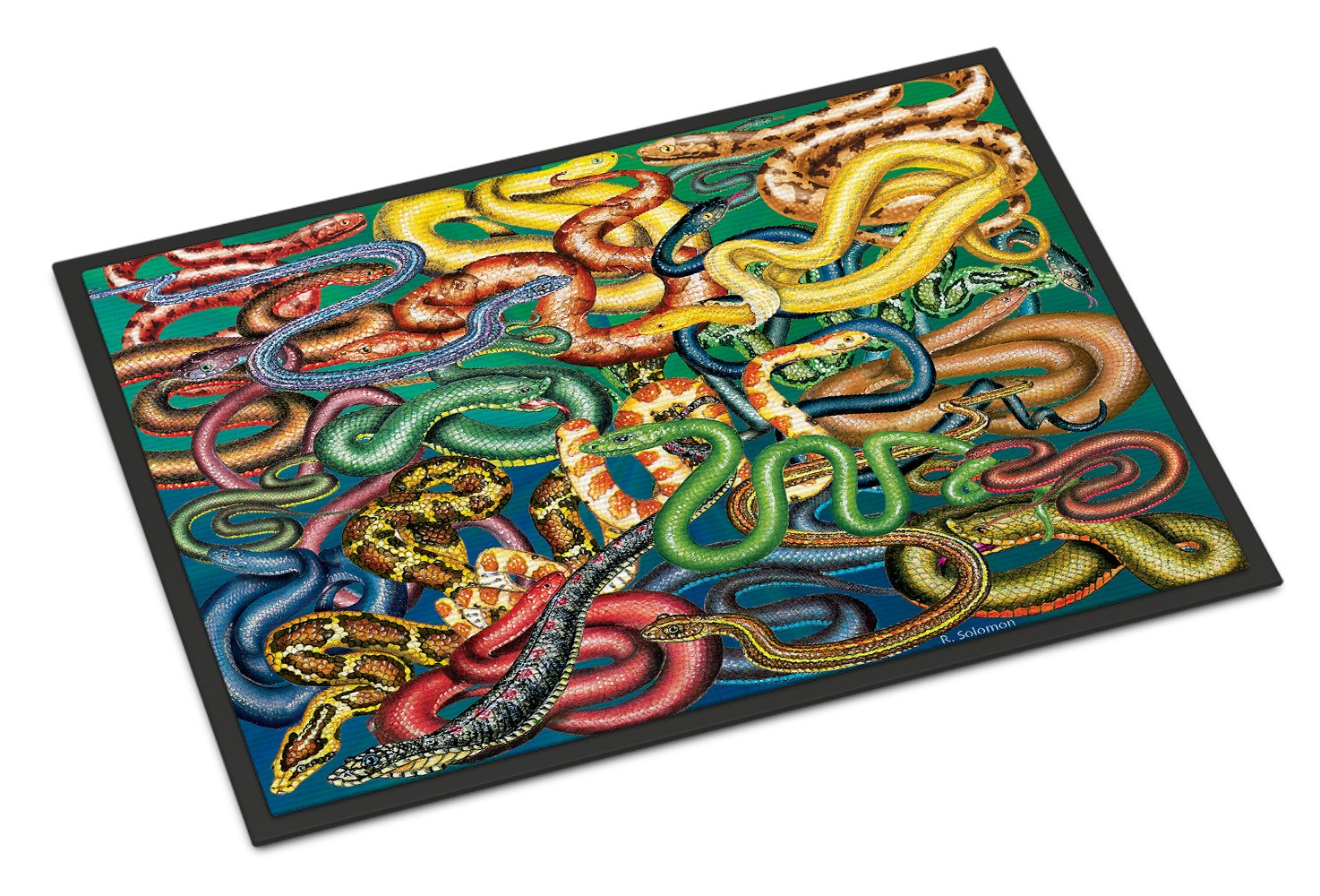 Snakes Indoor or Outdoor Mat 24x36 PRS4031JMAT by Caroline's Treasures