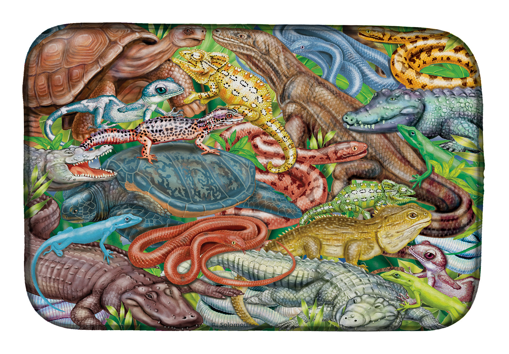 Scales and Tails, Snakes, Turtle, Reptiles Dish Drying Mat PRS4034DDM  the-store.com.