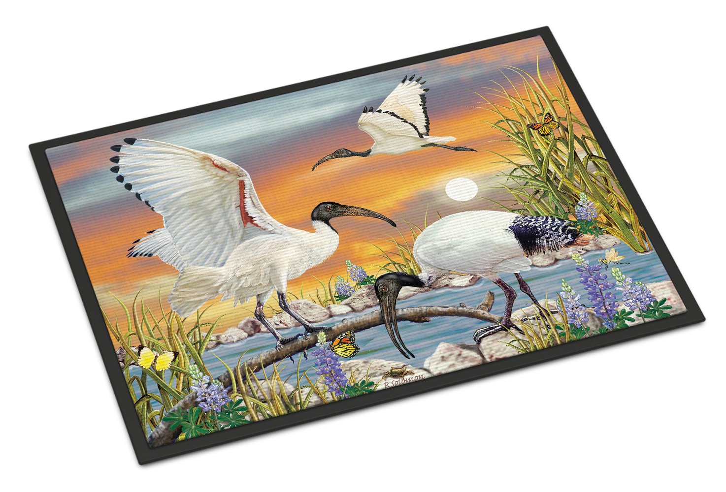 Sacred Ibis Indoor or Outdoor Mat 24x36 PRS4035JMAT by Caroline's Treasures