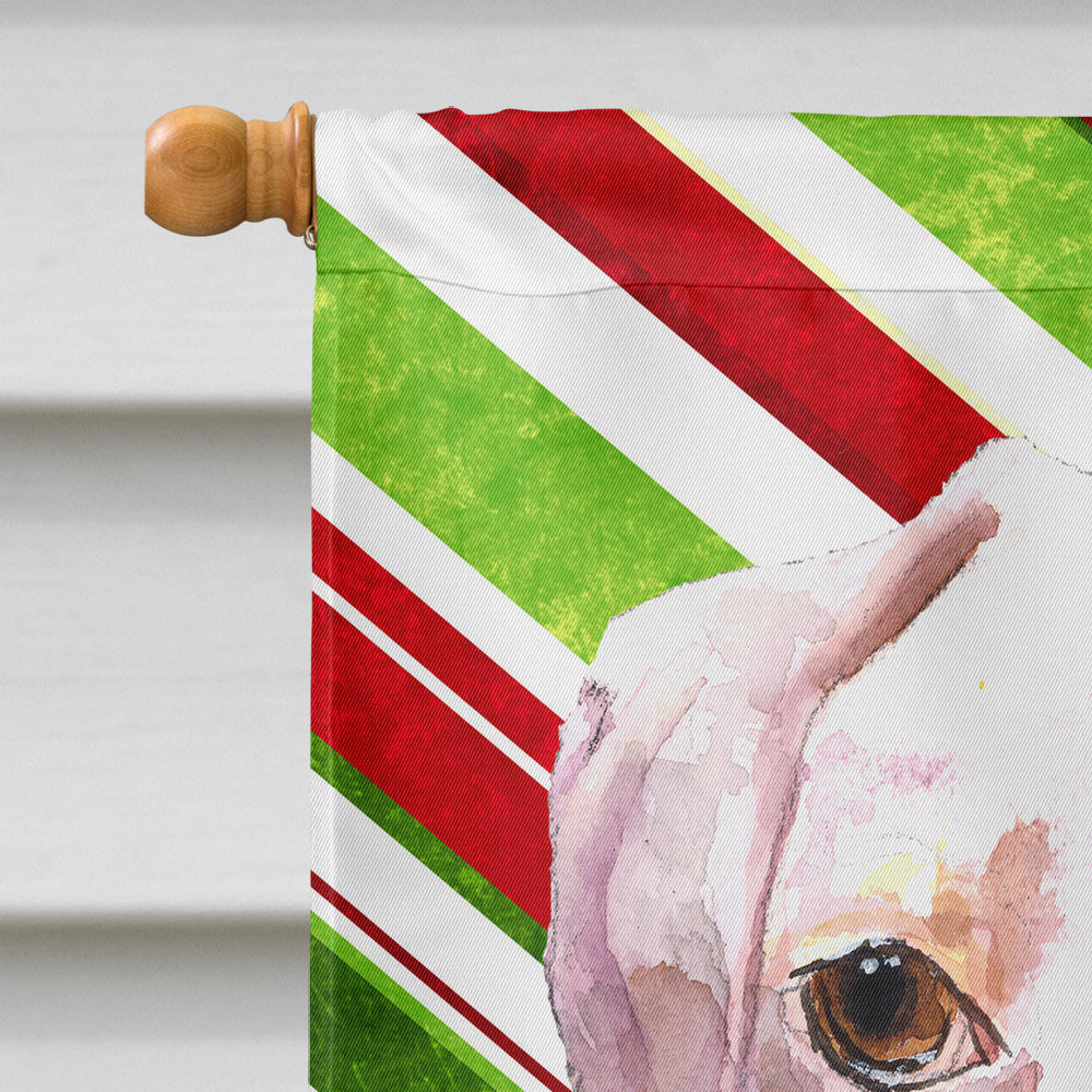 Cooper Candy Stripe Boxer Christmas Flag Canvas House Size RDR3002CHF  the-store.com.