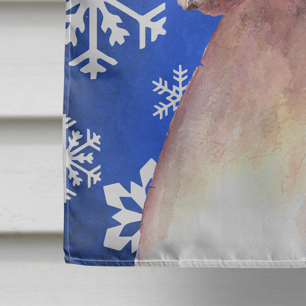 Cooper Winter Snowflakes Boxer Flag Canvas House Size RDR3003CHF  the-store.com.