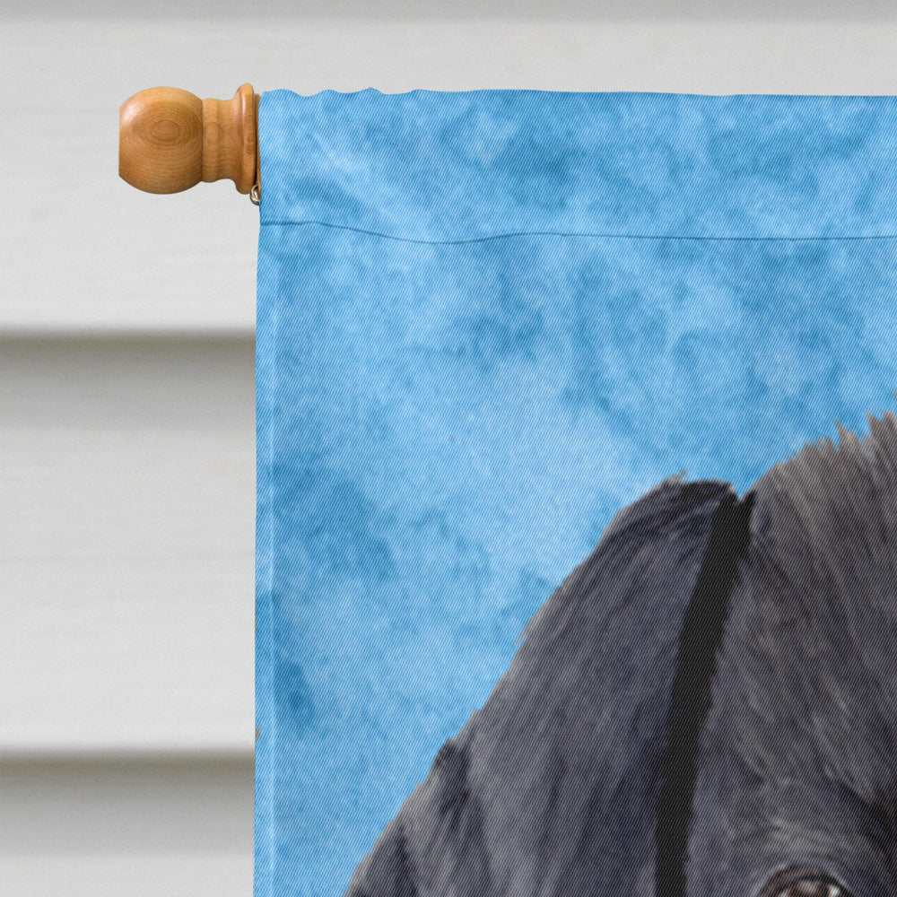 Labrador Flag Canvas House Size  the-store.com.