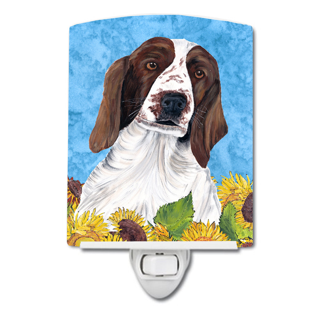 Welsh Springer Spaniel in Summer Flowers Ceramic Night Light SC9078CNL - the-store.com