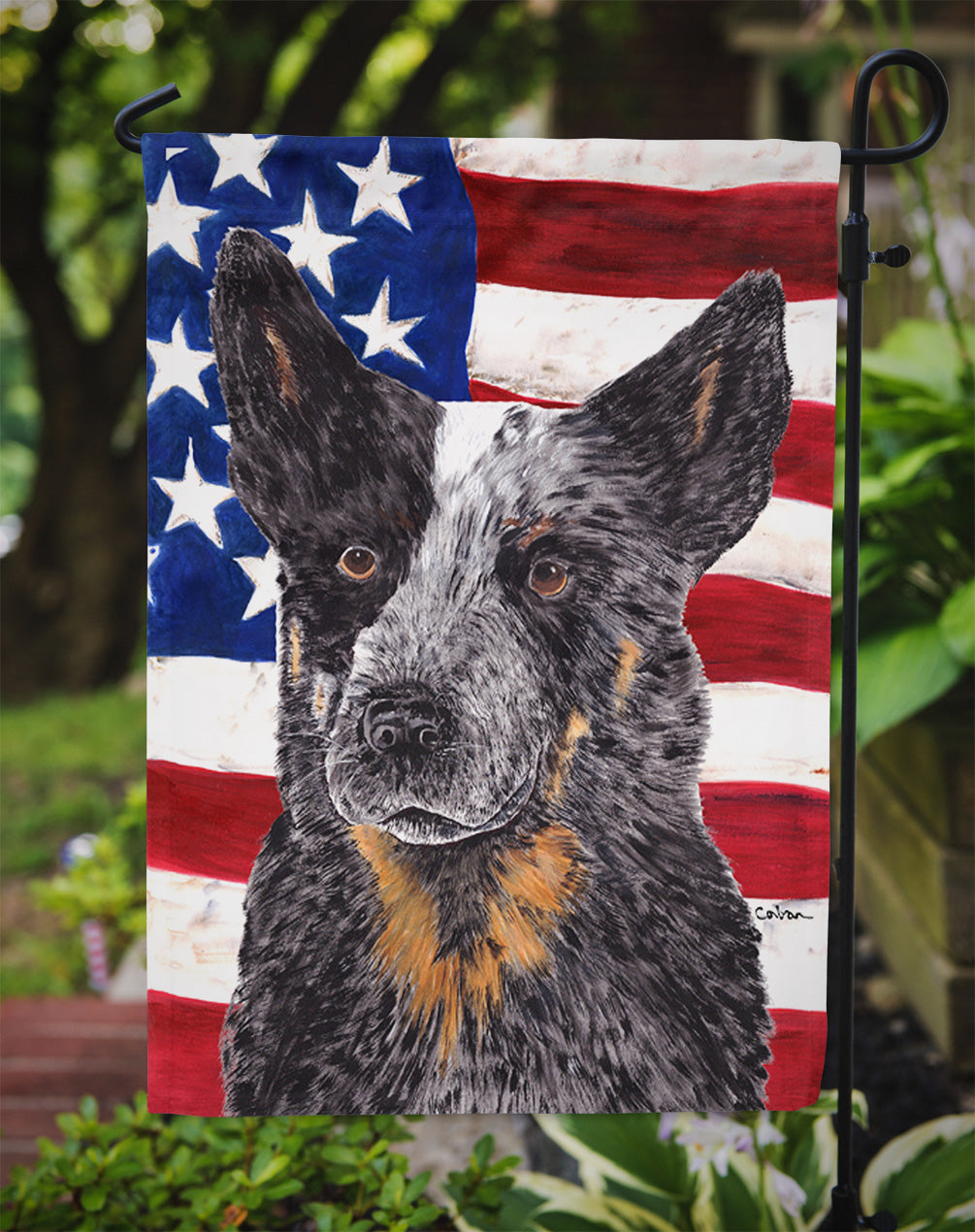 USA American Flag with Australian Cattle Dog Flag Garden Size.