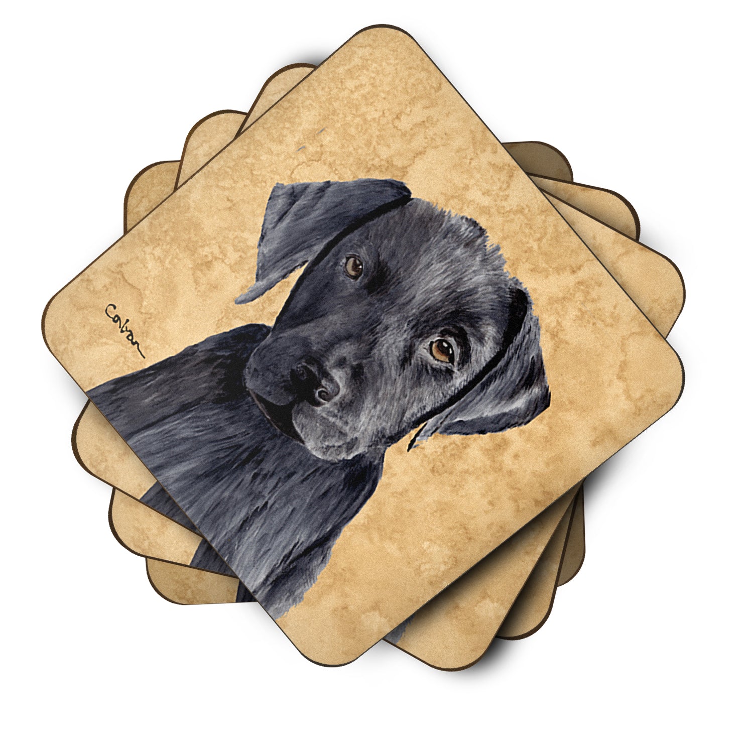 Set of 4 Labrador Foam Coasters - the-store.com