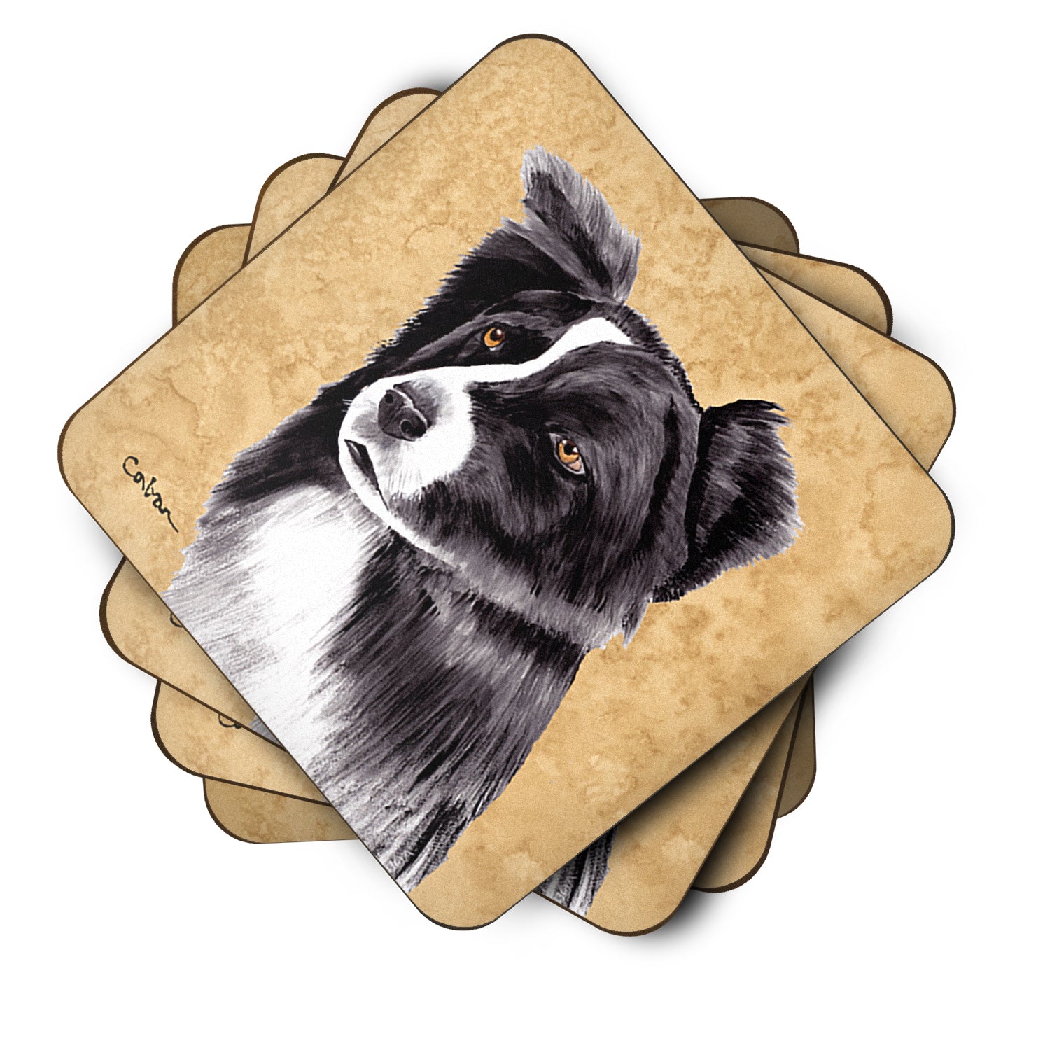 Set of 4 Border Collie Foam Coasters - the-store.com