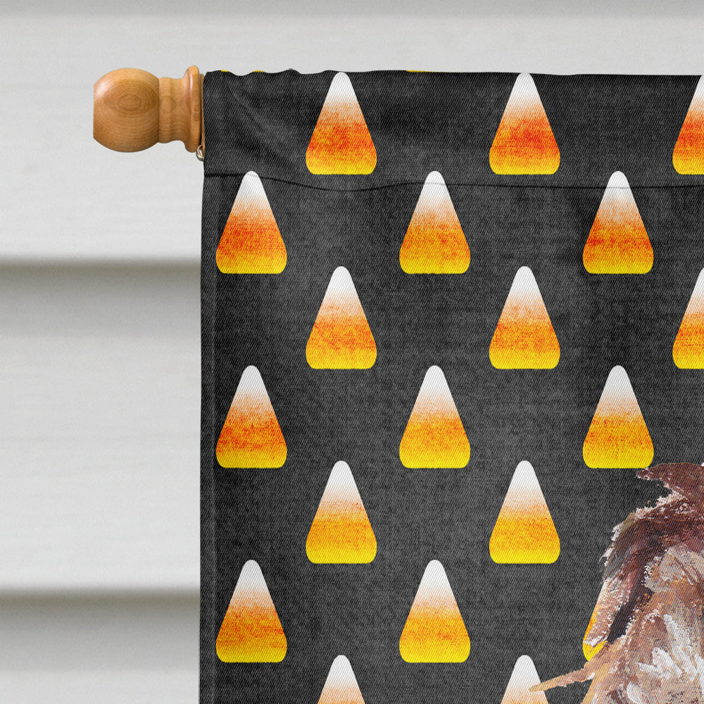 Boykin Spaniel Halloween Candy Corn Flag Canvas House Size  the-store.com.