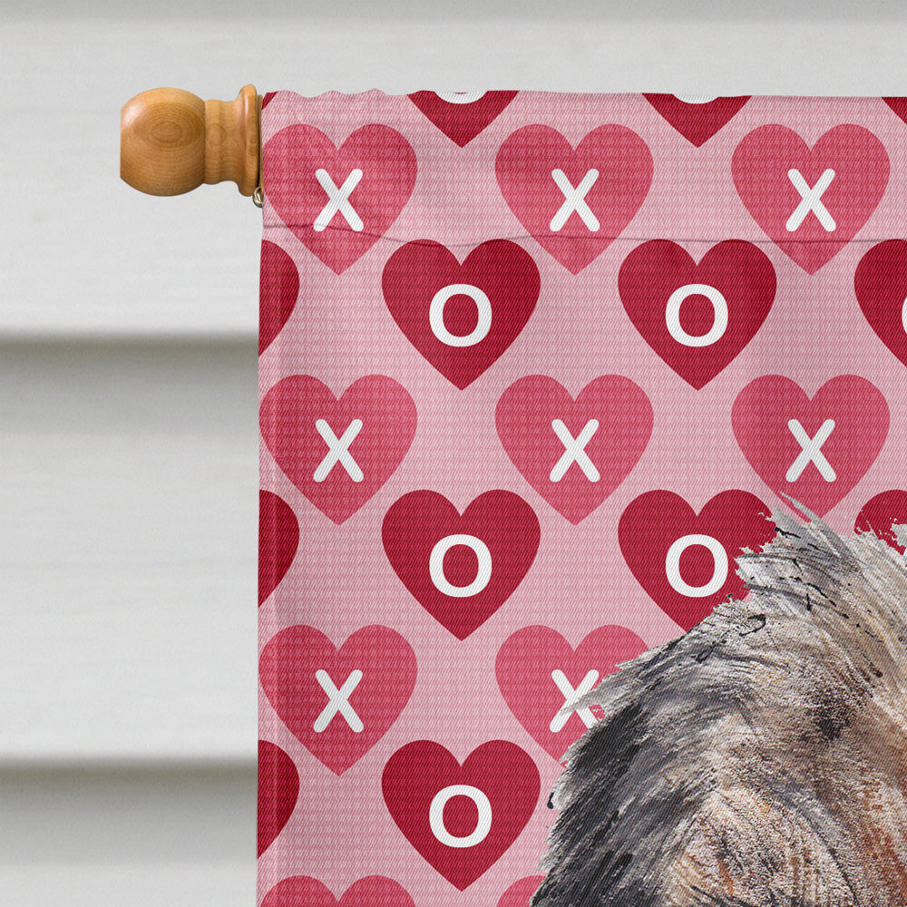 Border Terrier Valentine's Love Flag Canvas House Size  the-store.com.