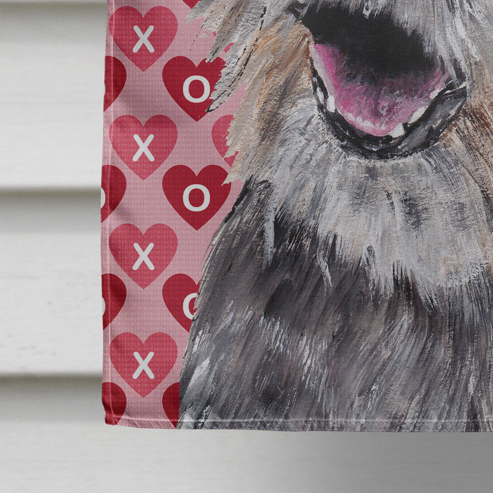 Border Terrier Valentine's Love Flag Canvas House Size  the-store.com.