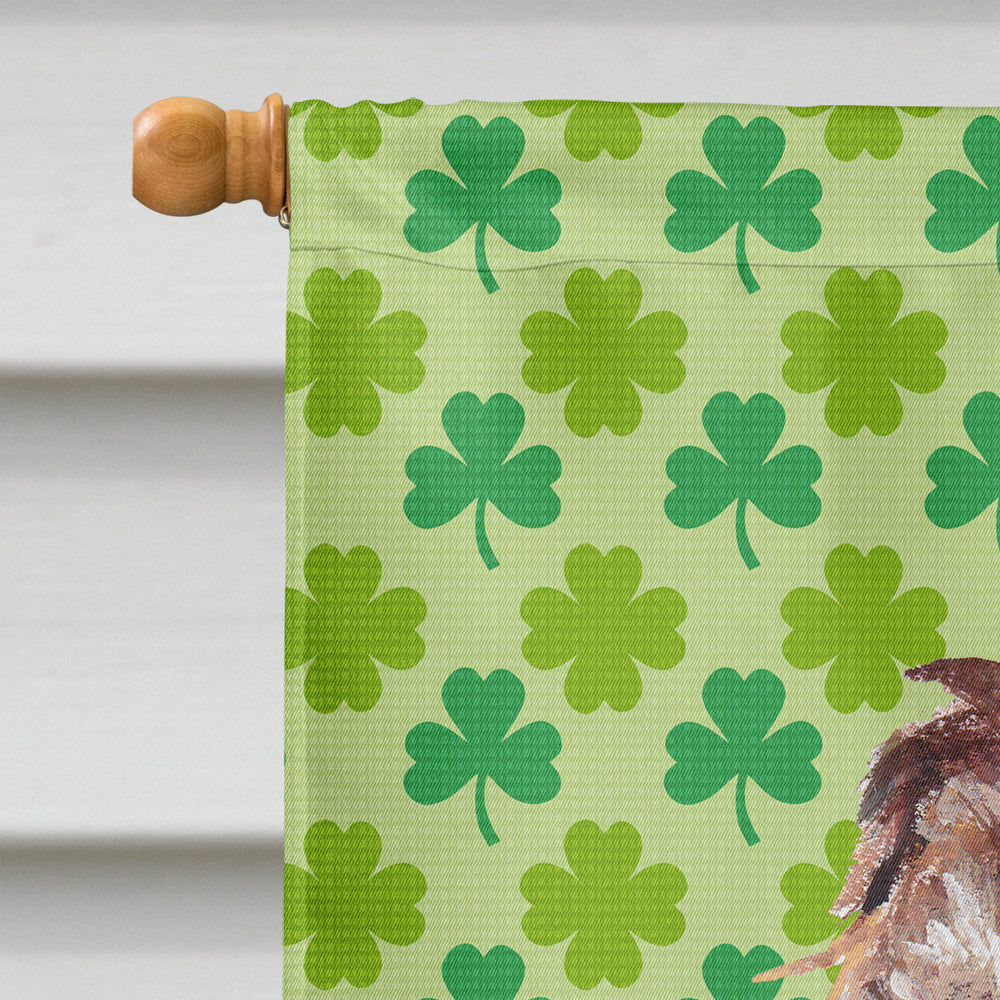 Boykin Spaniel St Patrick's Irish Flag Canvas House Size  the-store.com.