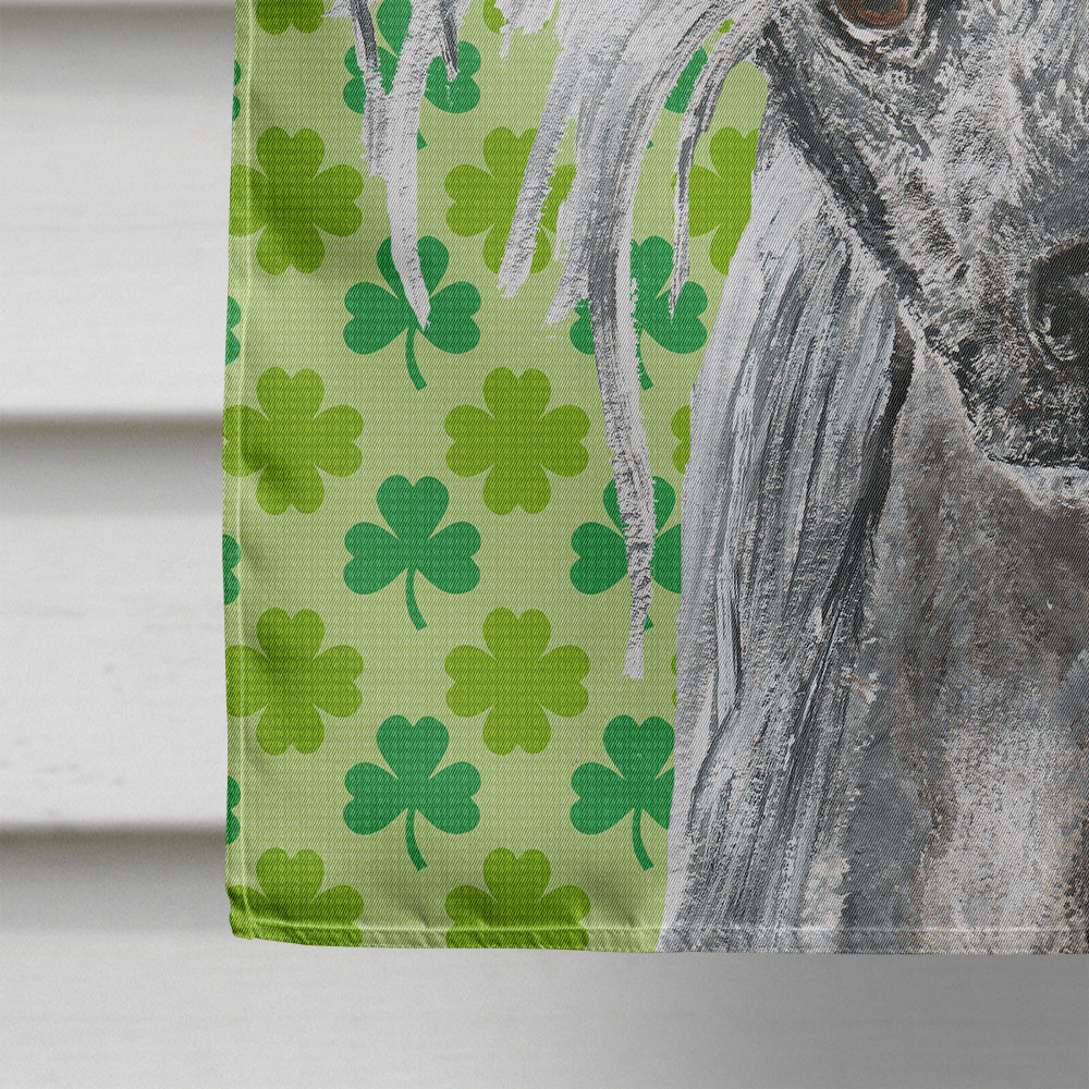 Chinese Crested St Patrick's Irish Flag Canvas House Size  the-store.com.