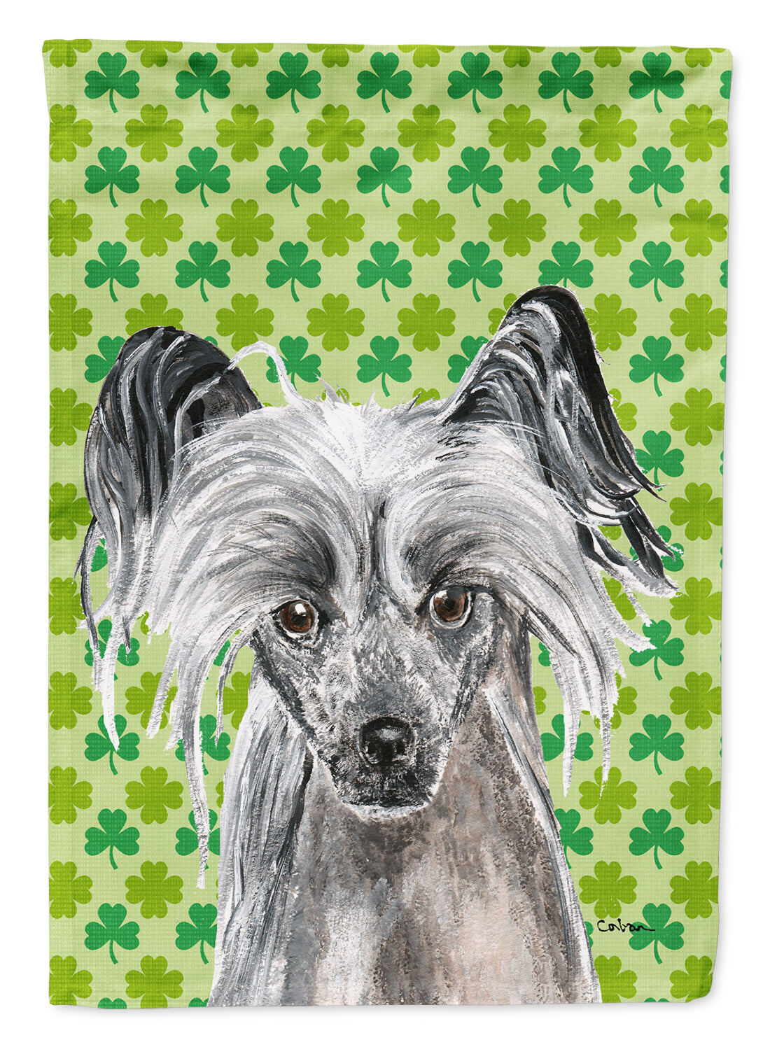 Chinese Crested St Patrick's Irish Flag Canvas House Size  the-store.com.