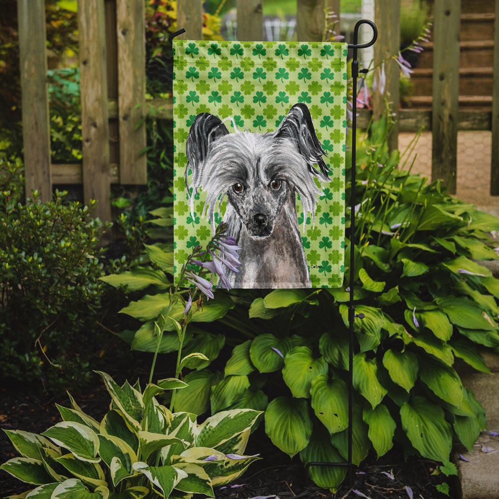 Chinese Crested St Patrick's Irish Flag Garden Size.