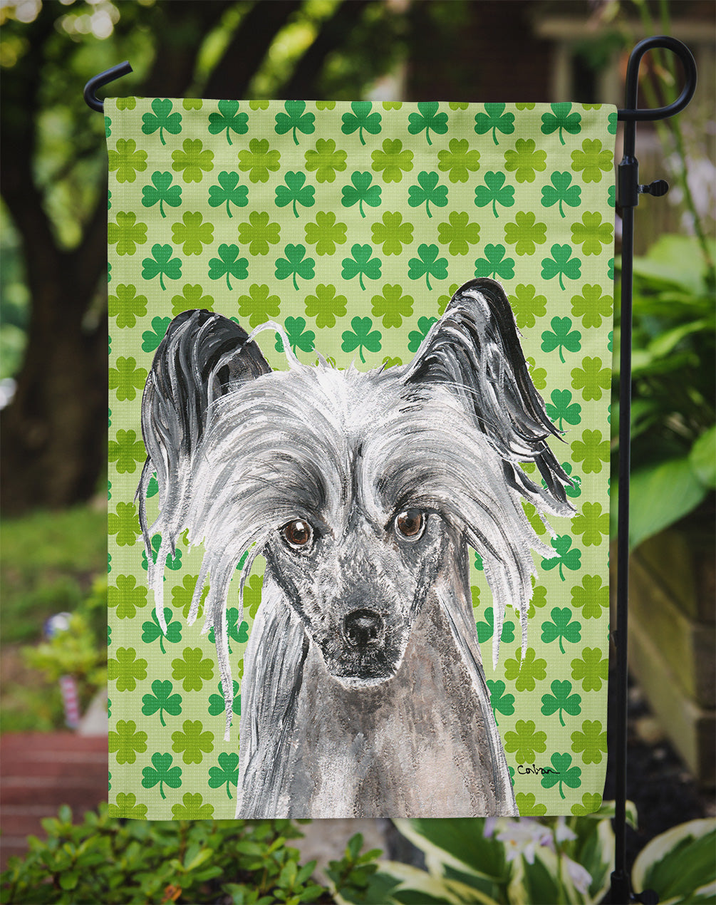 Chinese Crested St Patrick's Irish Flag Garden Size.