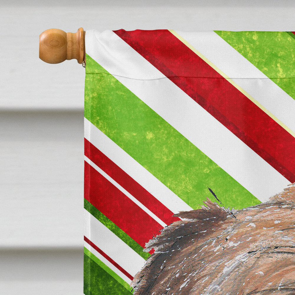 Brussels Griffon Candy Cane Christmas Flag Canvas House Size  the-store.com.