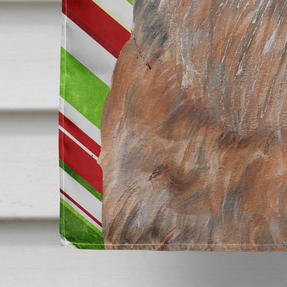 Brussels Griffon Candy Cane Christmas Flag Canvas House Size  the-store.com.