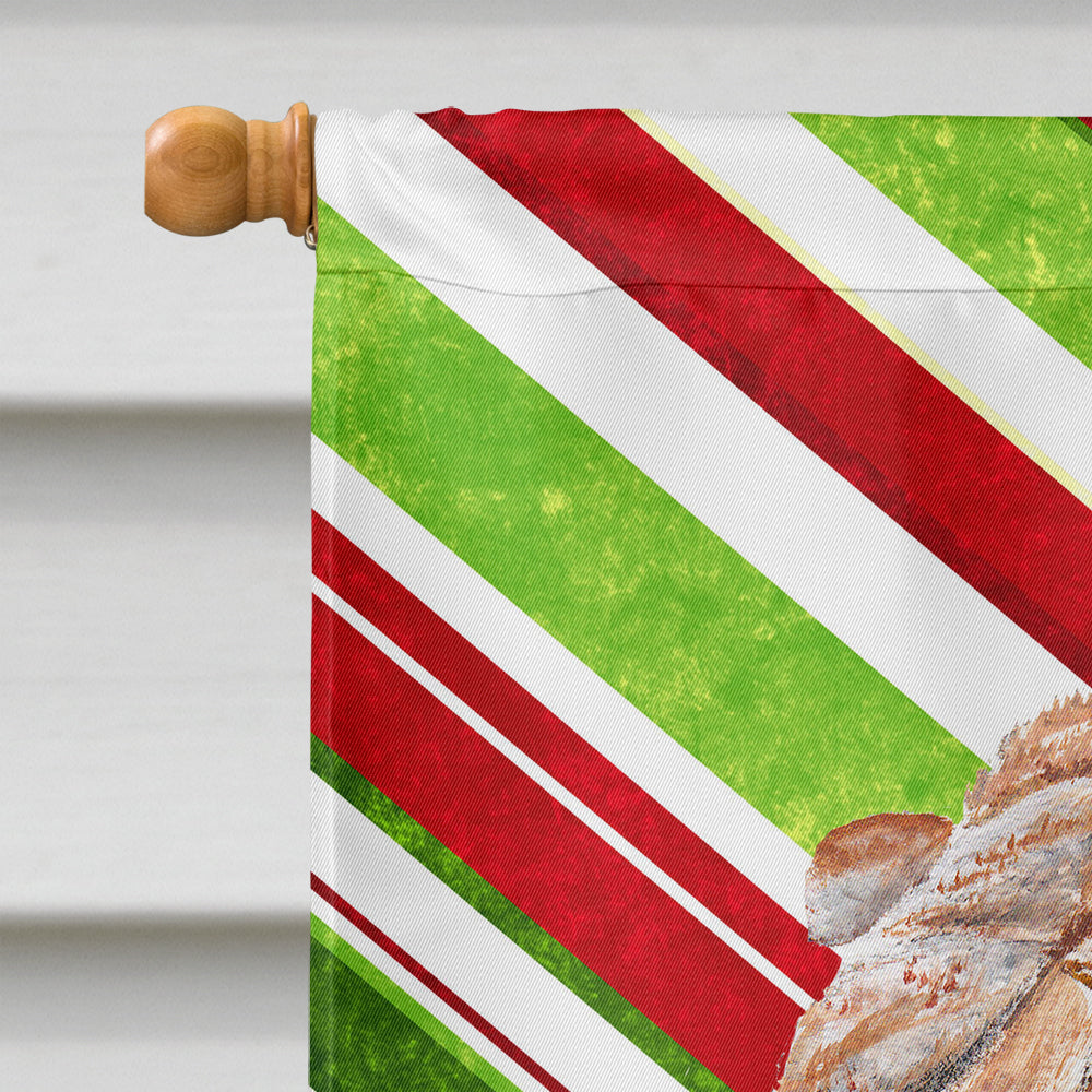 Shar Pei Candy Cane Christmas Flag Canvas House Size SC9791CHF  the-store.com.