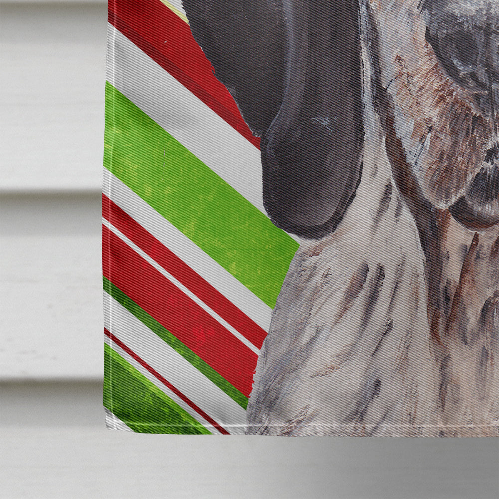 Blue Tick Coonhound Candy Cane Christmas Flag Canvas House Size SC9793CHF  the-store.com.