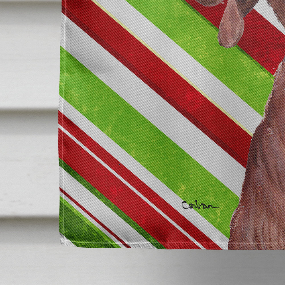 Redbone Coonhound Candy Cane Christmas Flag Canvas House Size SC9803CHF  the-store.com.