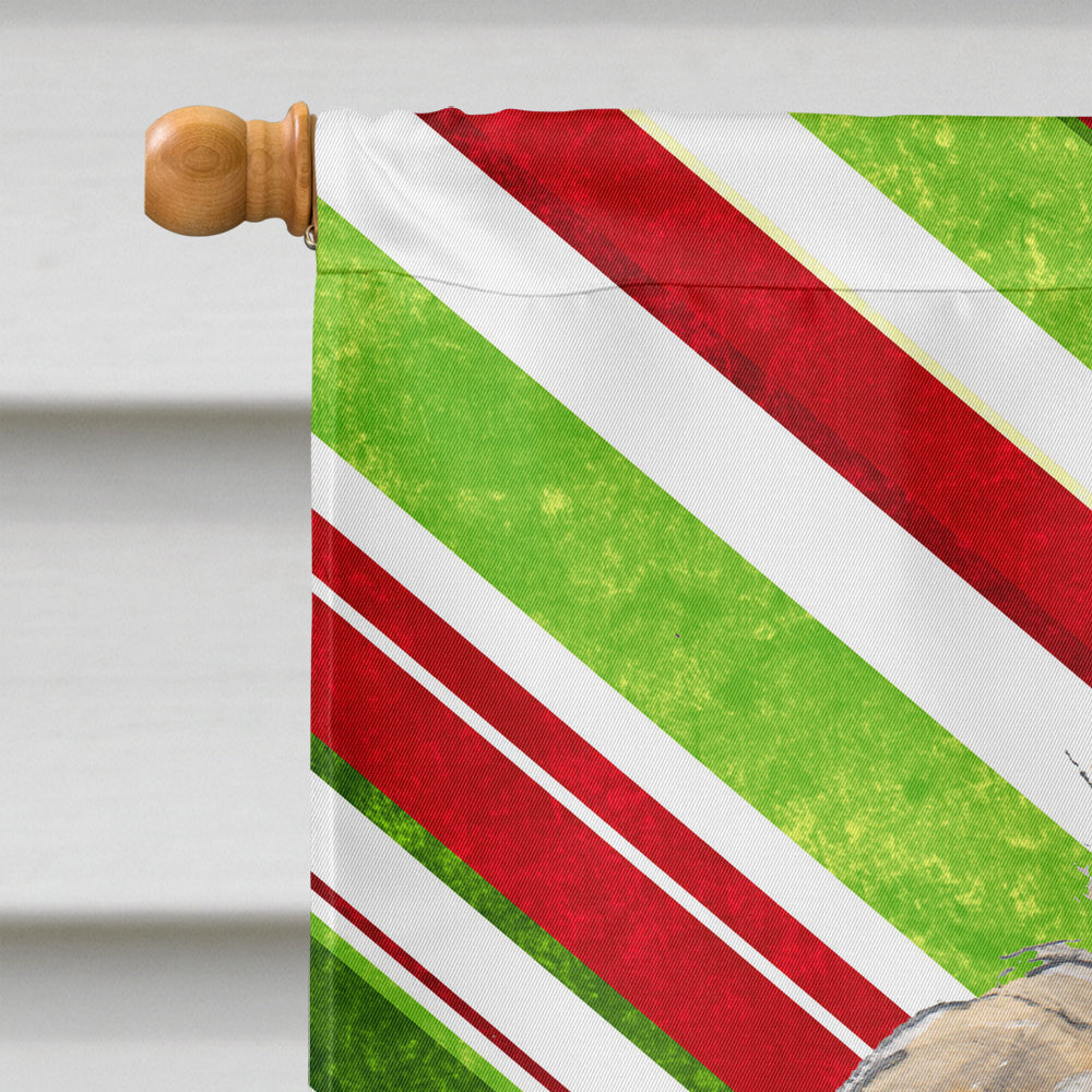 Golden Doodle 2 Candy Cane Christmas Flag Canvas House Size SC9811CHF  the-store.com.