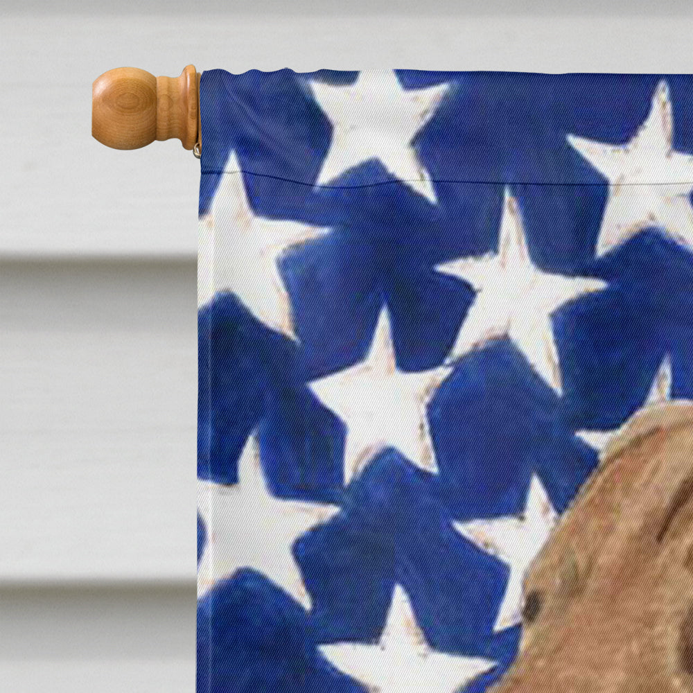 USA American Flag with Curly Coated Retriever Flag Canvas House Size  the-store.com.