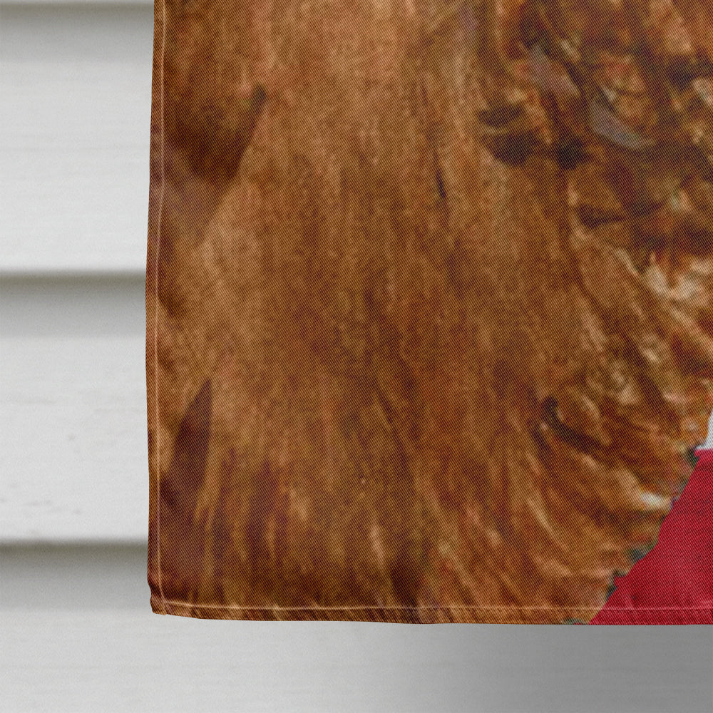 USA American Flag with Sussex Spaniel Flag Canvas House Size  the-store.com.