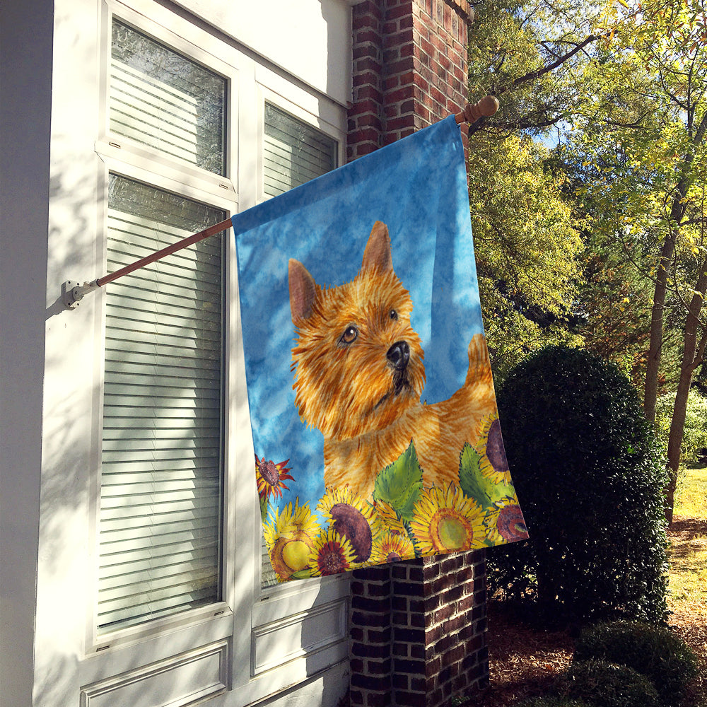 Norwich Terrier Flag Canvas House Size  the-store.com.