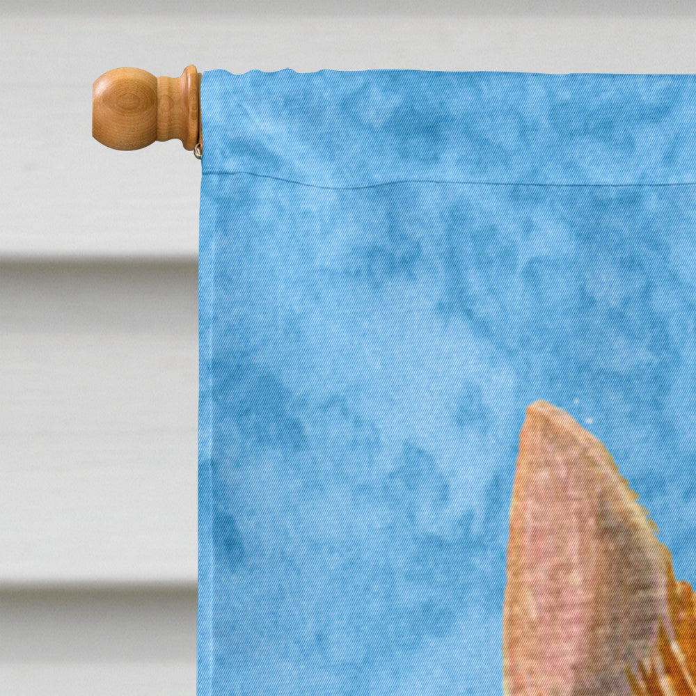 Norwich Terrier Flag Canvas House Size  the-store.com.