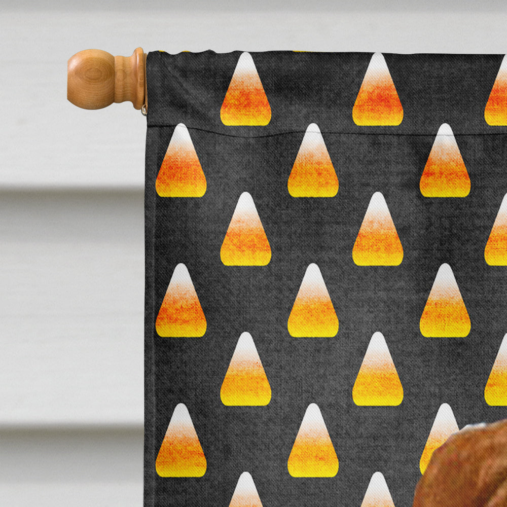 Sussex Spaniel Candy Corn Halloween Portrait Flag Canvas House Size  the-store.com.