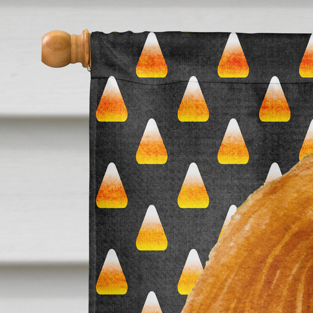 Cavalier Spaniel Candy Corn Halloween Portrait Flag Canvas House Size  the-store.com.