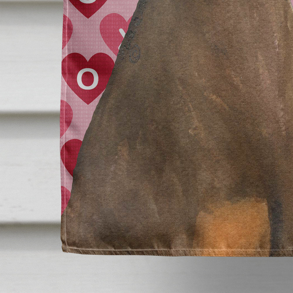 Doberman Hearts Love and Valentine's Day Portrait Flag Canvas House Size  the-store.com.