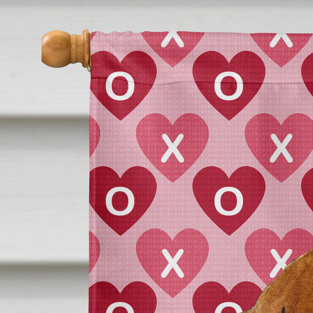 Dachshund Hearts Love Valentine's Day Flag Canvas House Size  the-store.com.