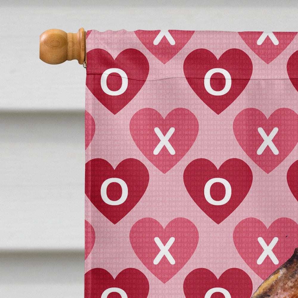 Brussels Griffon Hearts Love and Valentine's Day  Flag Canvas House Size  the-store.com.