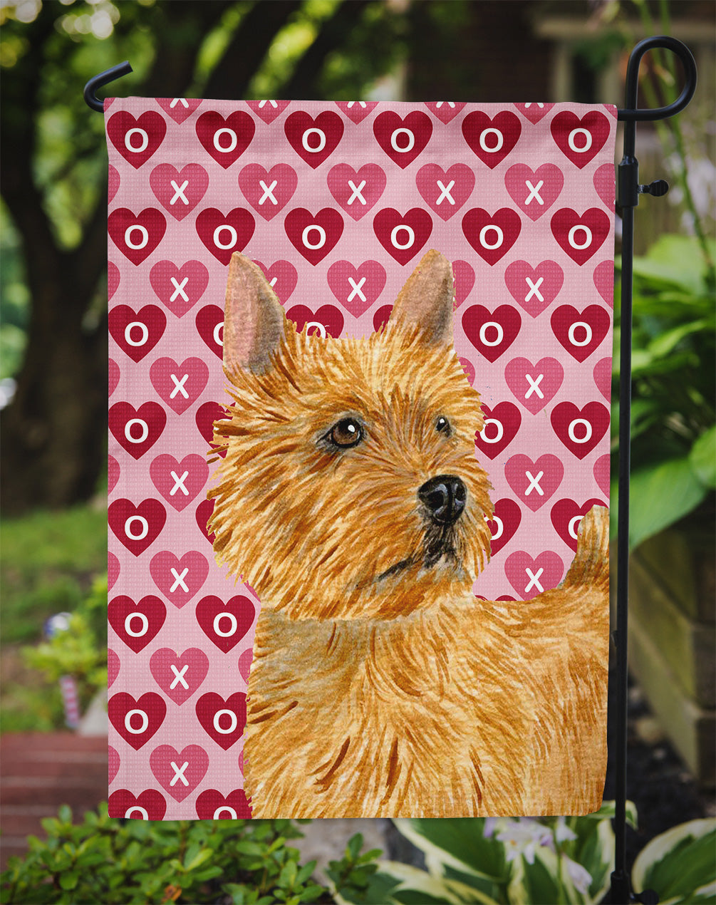 Norwich Terrier Hearts Love and Valentine's Day Portrait Flag Garden Size.