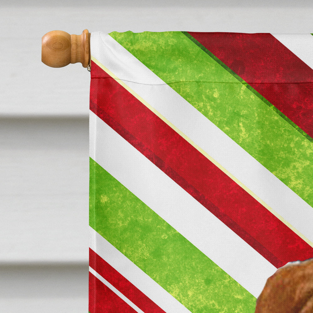 Sussex Spaniel Candy Cane Holiday Christmas Flag Canvas House Size  the-store.com.