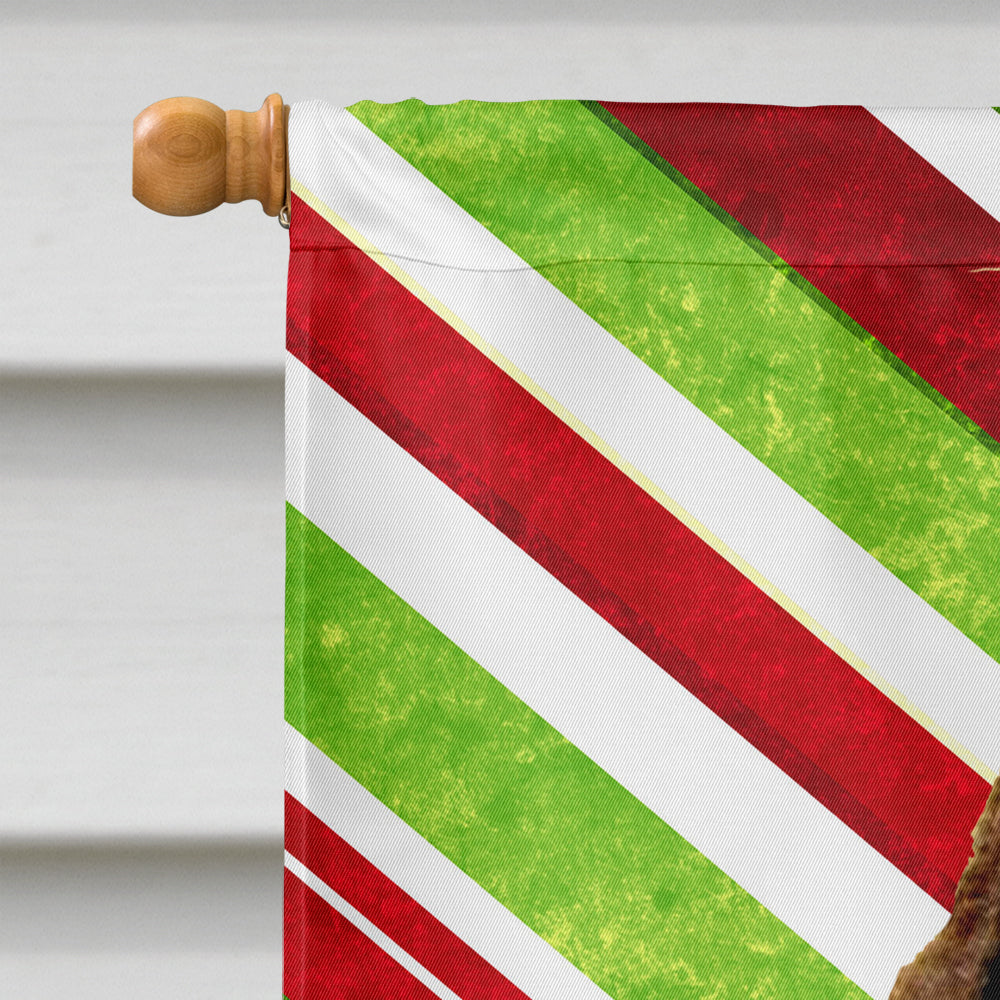 Springer Spaniel Candy Cane Holiday Christmas Flag Canvas House Size  the-store.com.