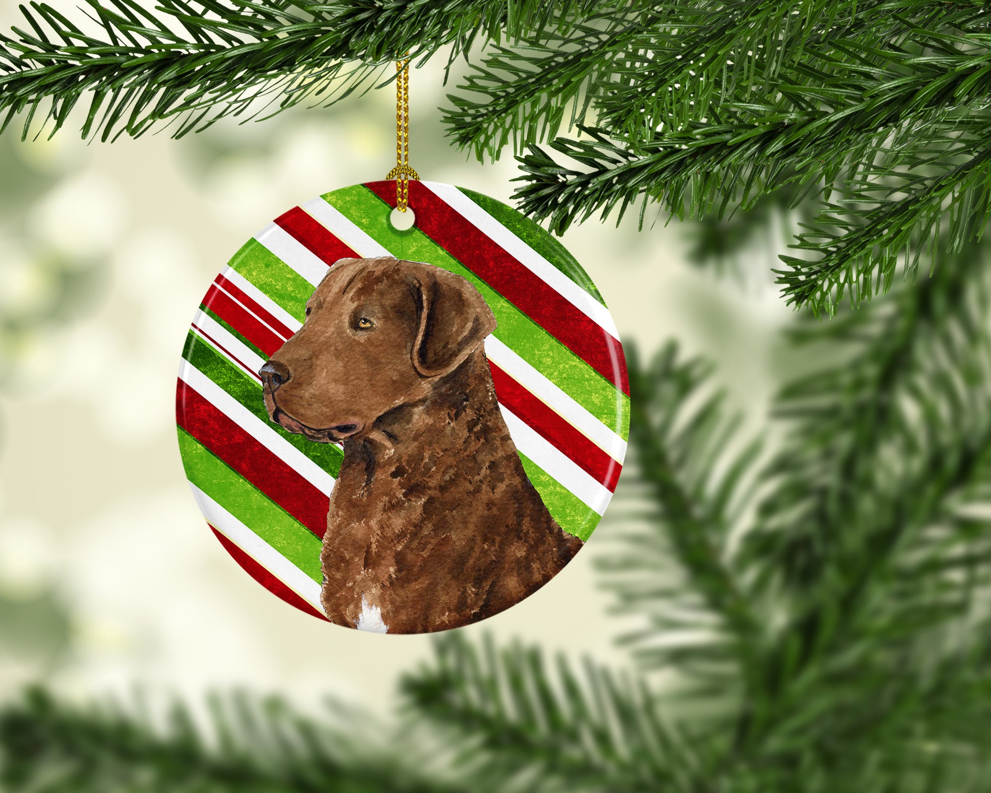 Chesapeake Bay Retriever Candy Cane Holiday Christmas Ceramic Ornament SS4600 - the-store.com