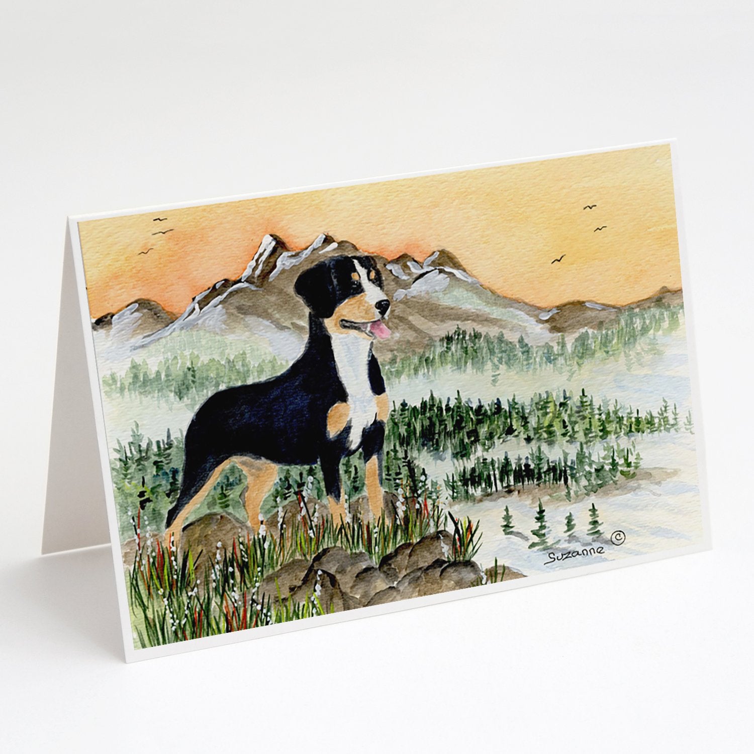 Buy this Entlebucher Mountain Dog Greeting Cards and Envelopes Pack of 8