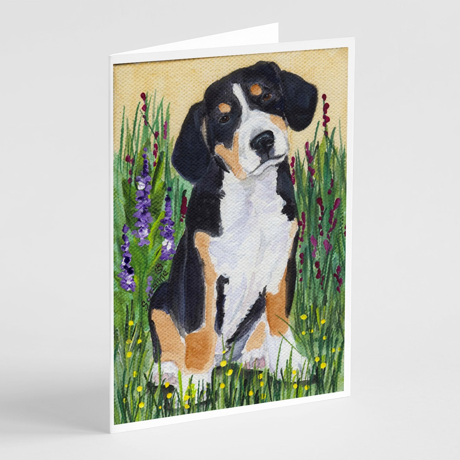 Buy this Entlebucher Mountain Dog Greeting Cards and Envelopes Pack of 8