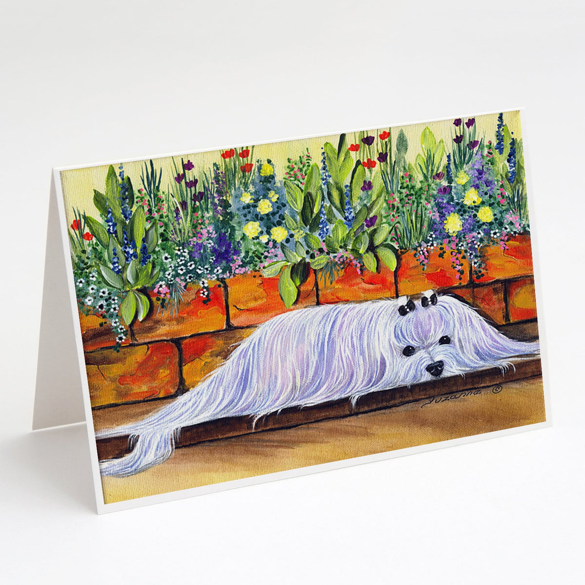 Buy this Maltese Greeting Cards and Envelopes Pack of 8